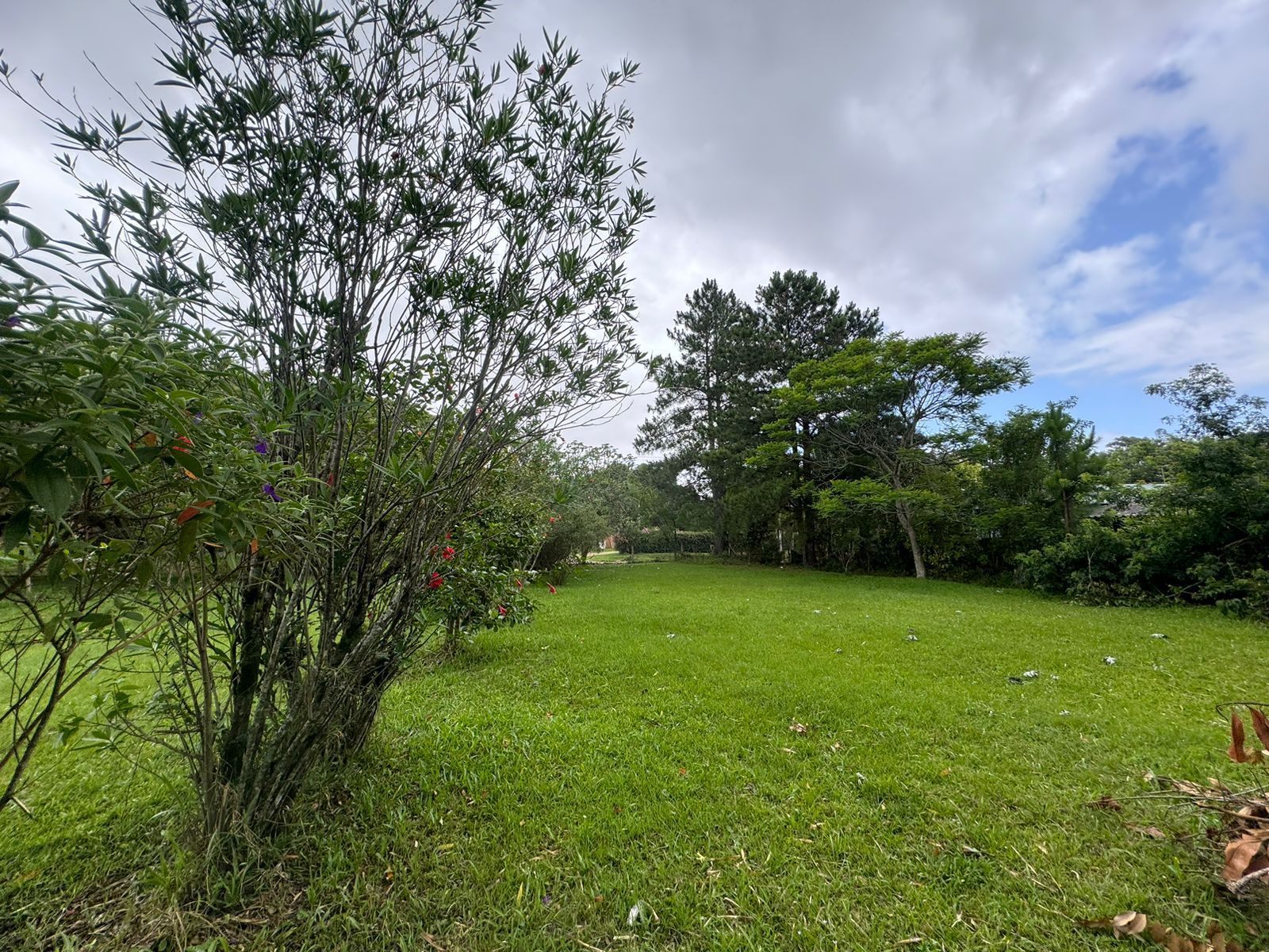Sítio à venda com 1 quarto, 63m² - Foto 38