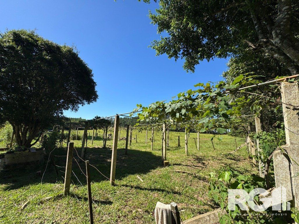 Fazenda à venda com 3 quartos, 141m² - Foto 24