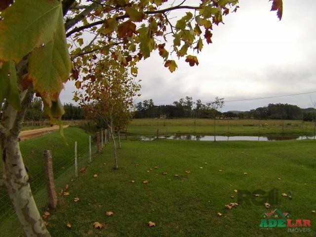 Sítio à venda com 4 quartos, 28571m² - Foto 22