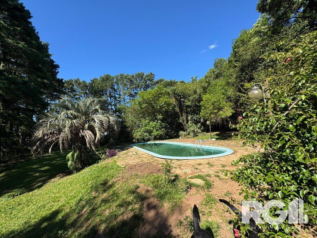 Fazenda à venda com 3 quartos, 141m² - Foto 10