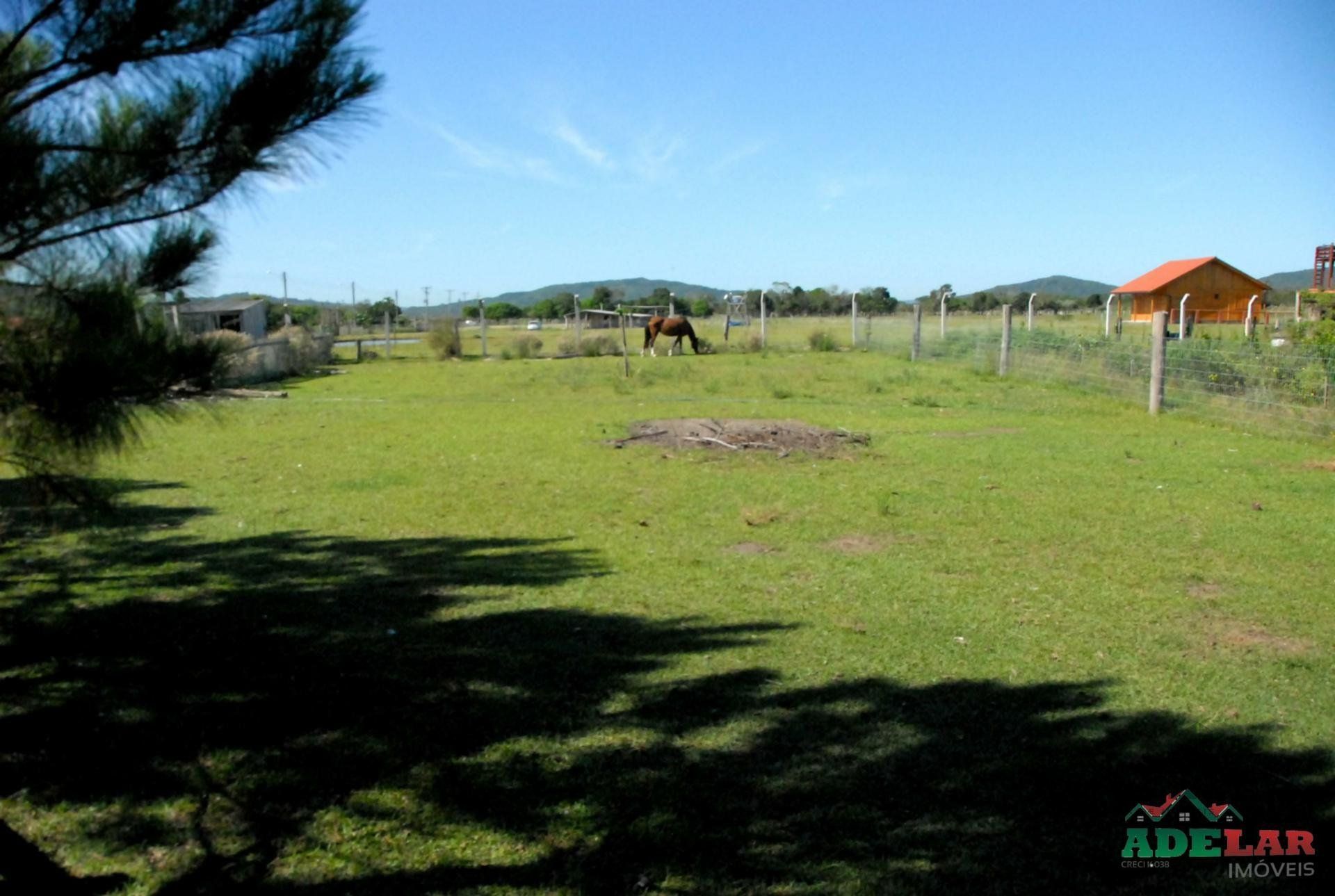 Chácara, 2 quartos, 2 hectares - Foto 13