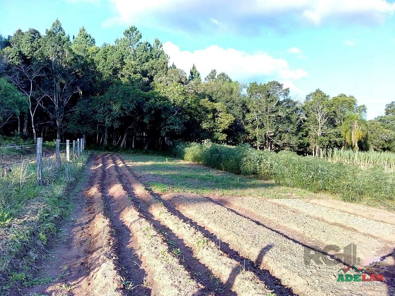 Sítio à venda com 2 quartos, 30000m² - Foto 96