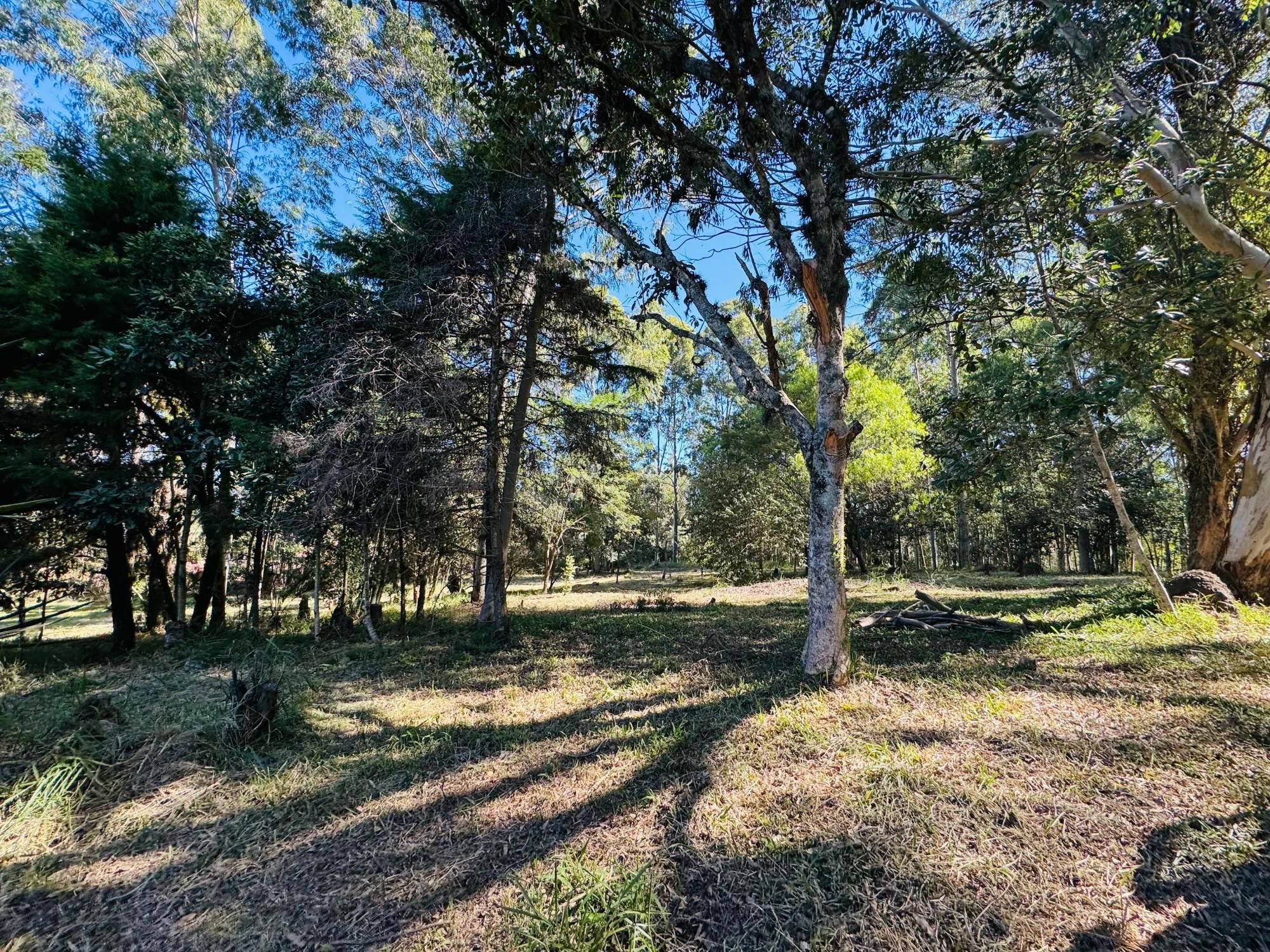Depósito-Galpão-Armazém à venda, 1m² - Foto 5
