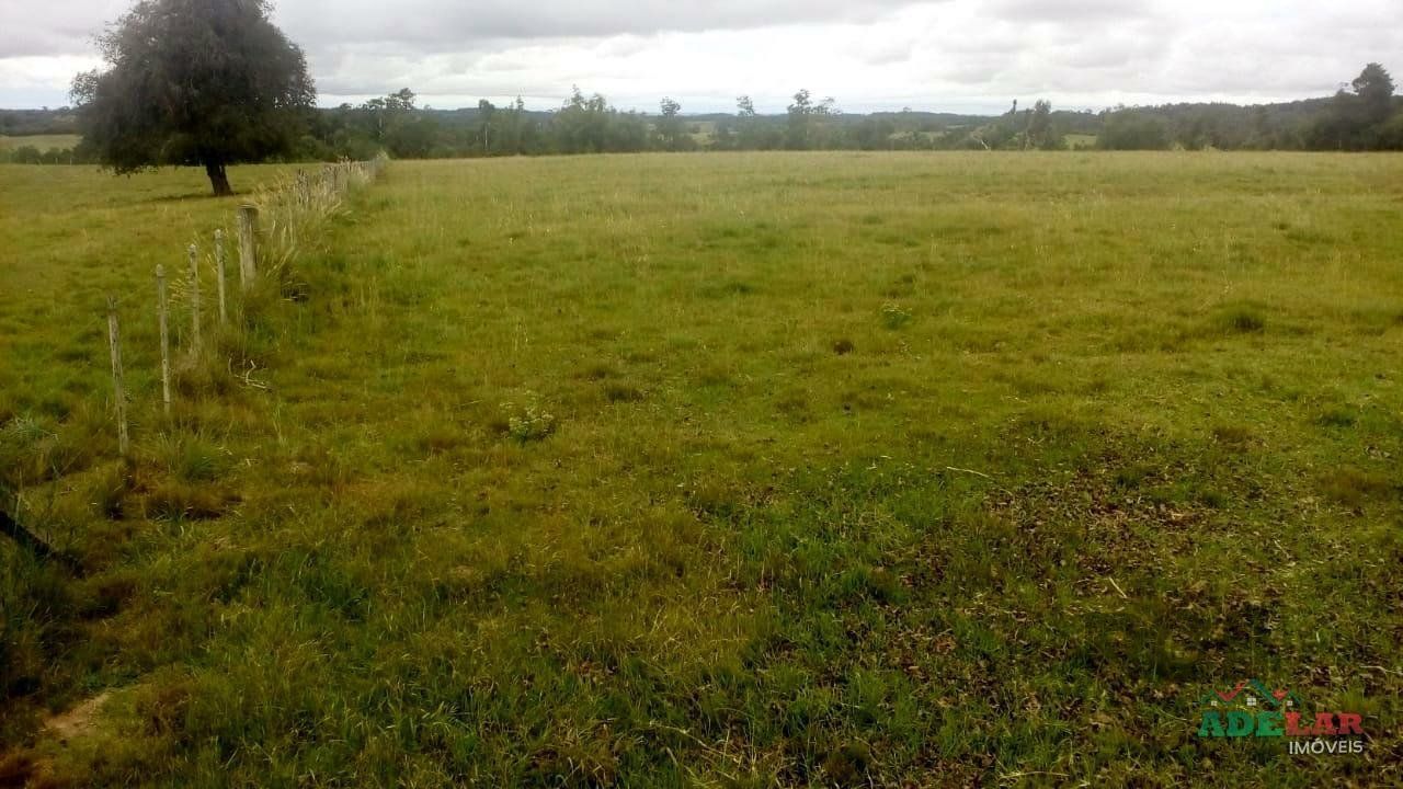 Sítio, 2 quartos, 10 hectares - Foto 37