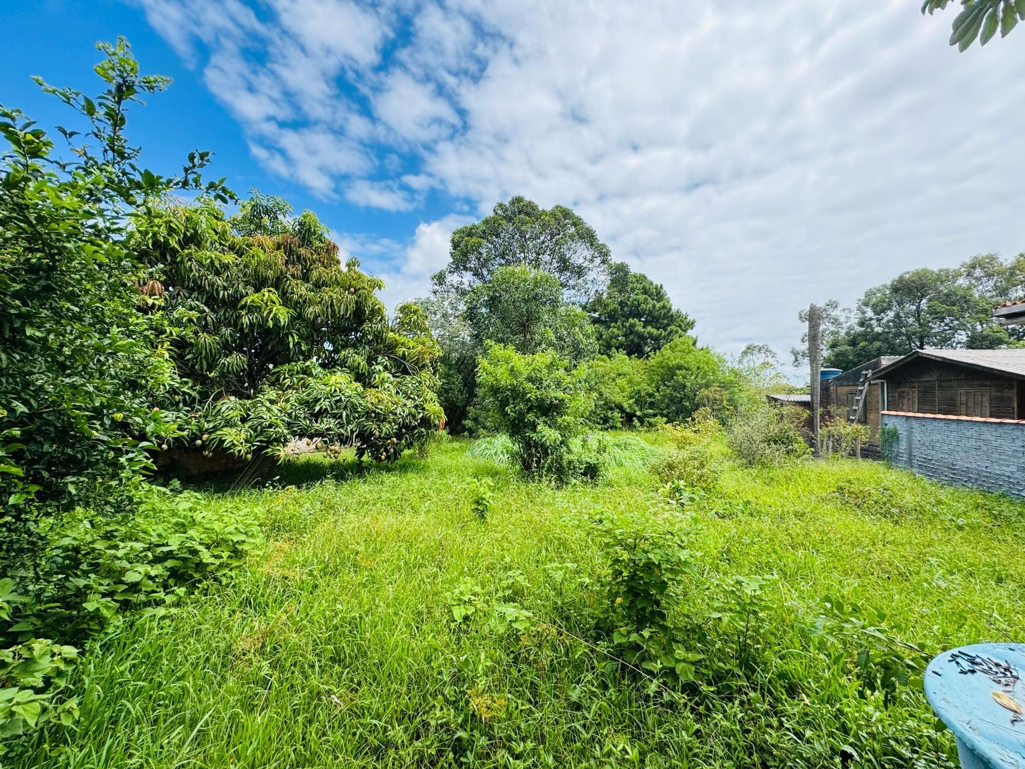 Chácara, 3 quartos, 2300 m² - Foto 8