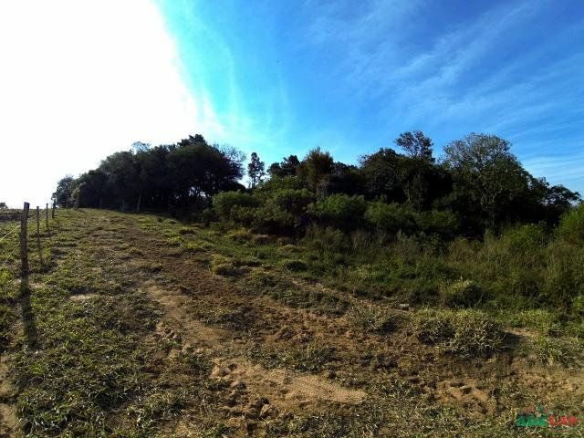 Sítio à venda com 1 quarto, 390000m² - Foto 51