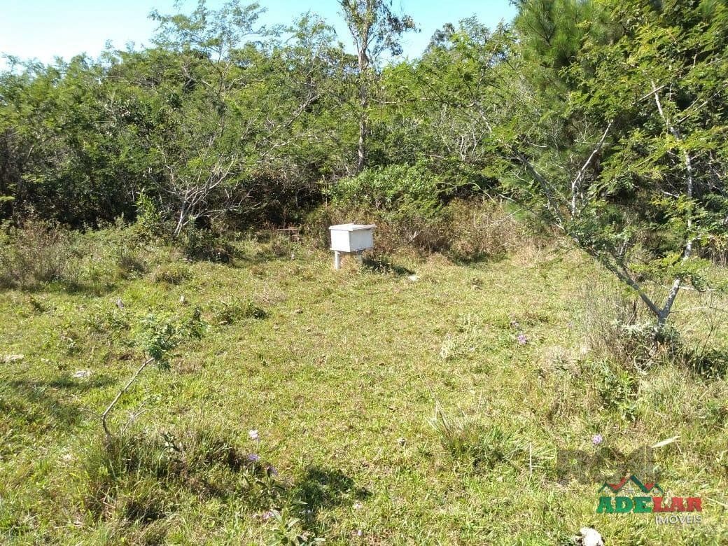 Sítio à venda com 4 quartos, 76737m² - Foto 21