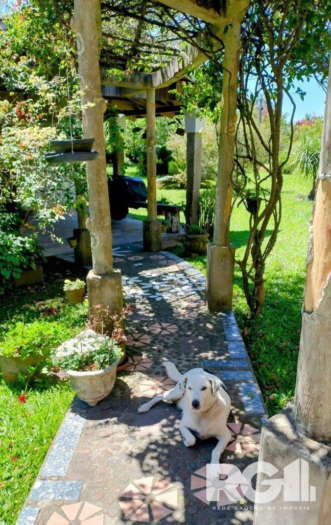 Sítio, 3 quartos, 10000 m² - Foto 24