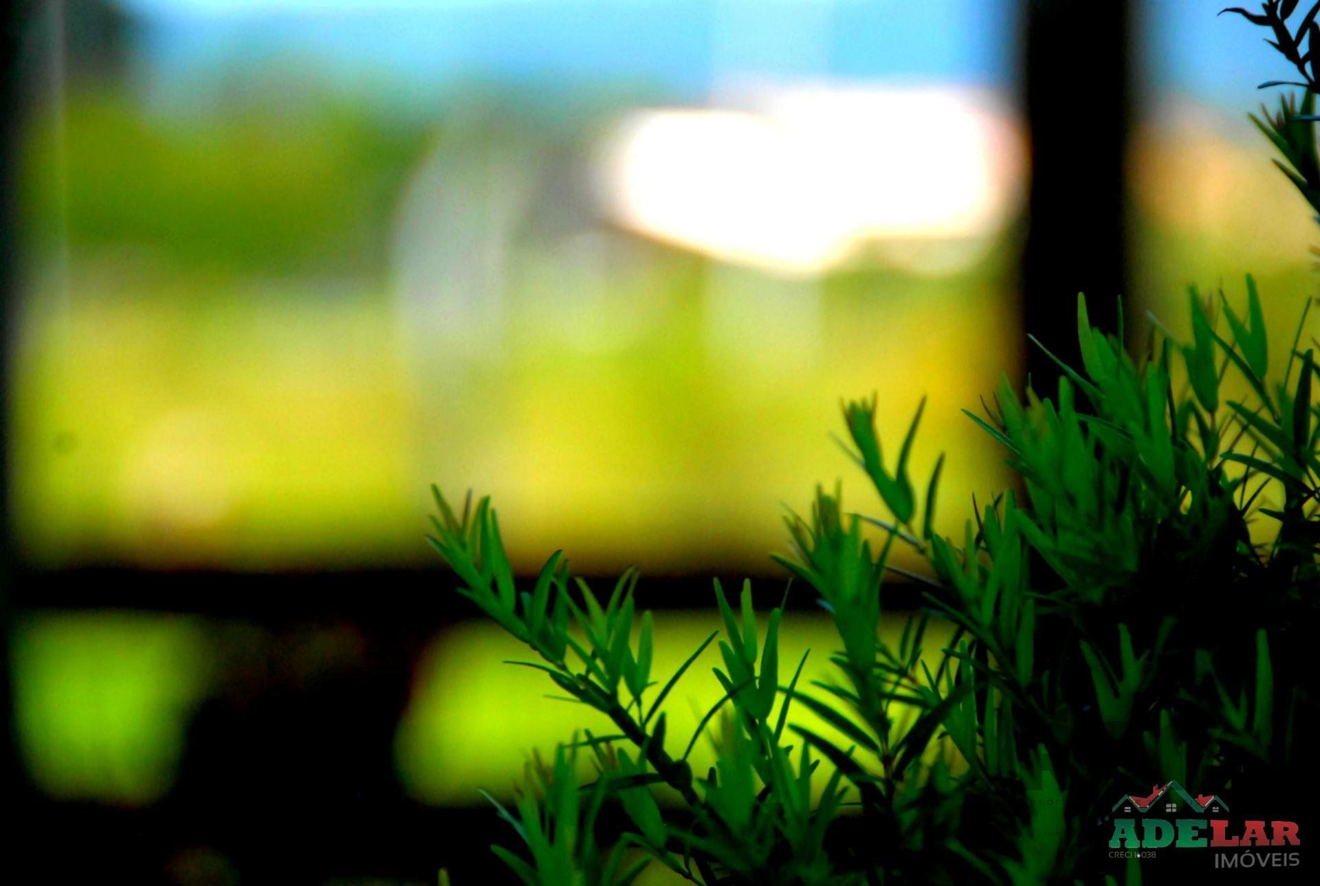 Chácara, 2 quartos, 2 hectares - Foto 37