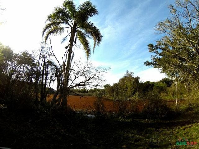Sítio à venda com 1 quarto, 390000m² - Foto 13