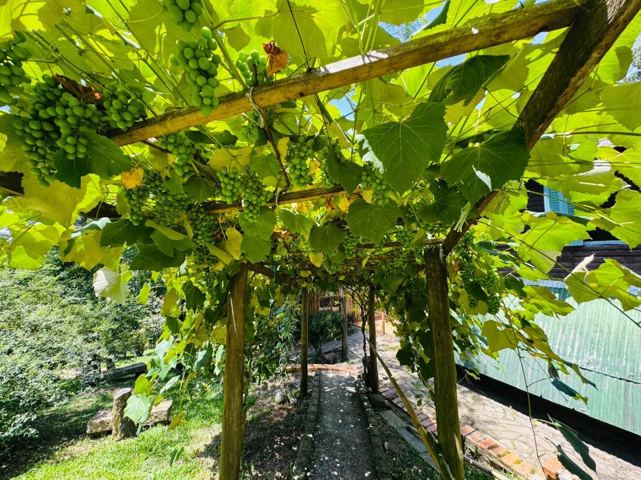 Chácara, 3 quartos, 3200 m² - Foto 24