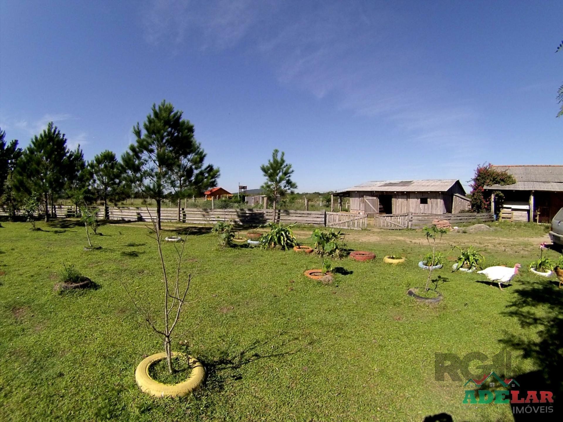 Chácara, 2 quartos, 2 hectares - Foto 66