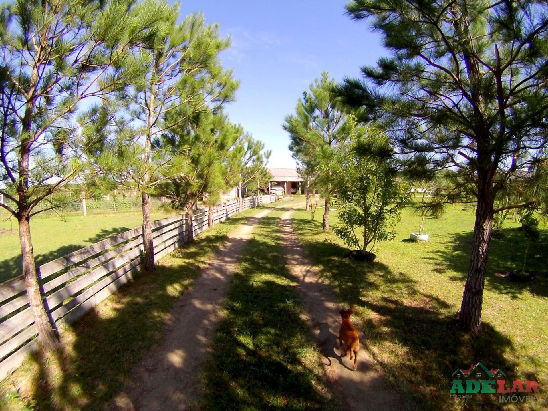 Chácara, 2 quartos, 2 hectares - Foto 41