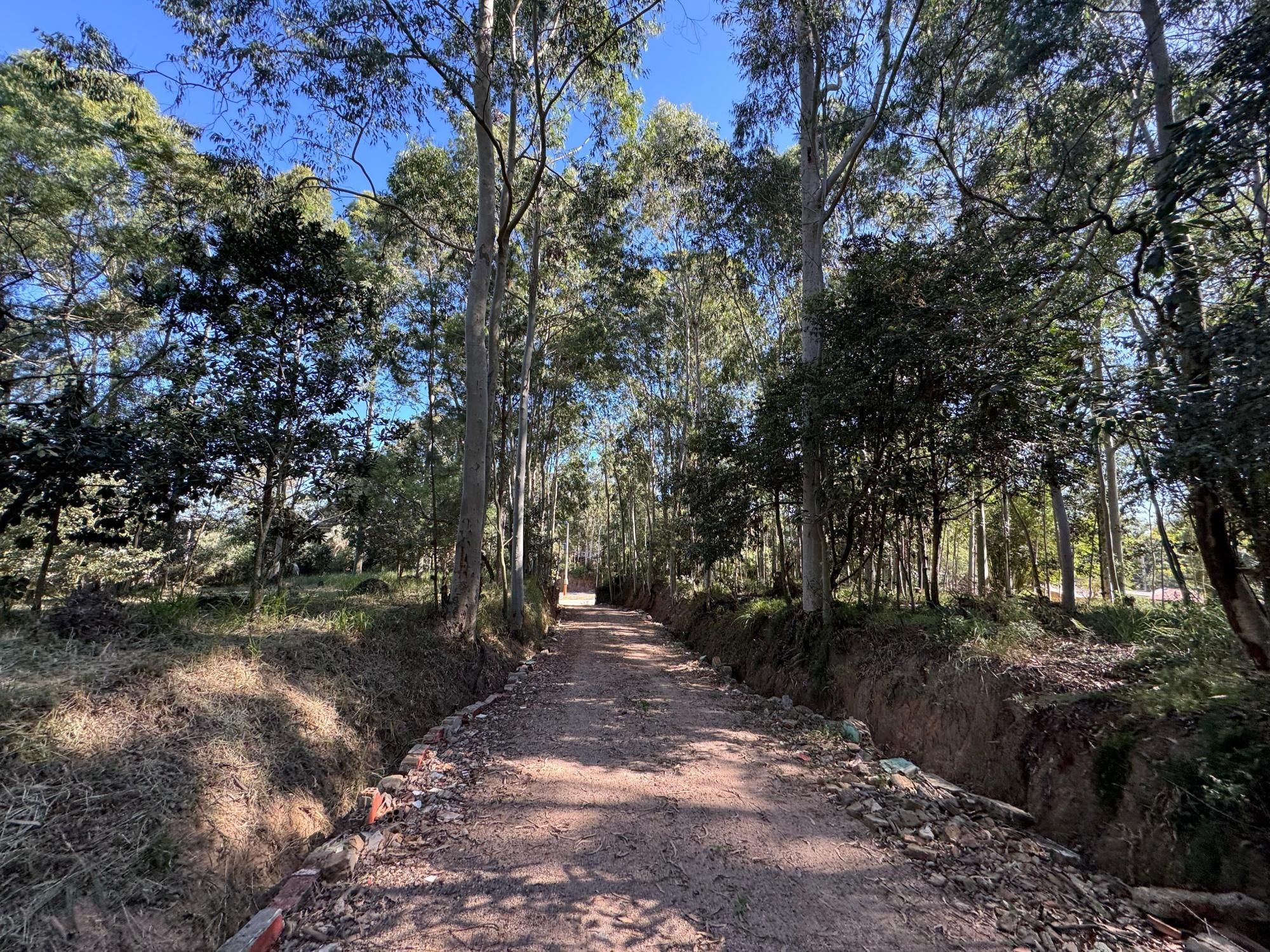 Sítio, 225 m² - Foto 11