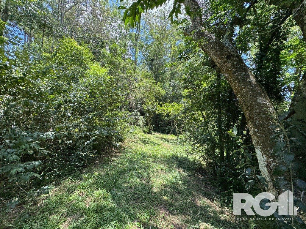 Sítio à venda com 4 quartos, 120m² - Foto 25