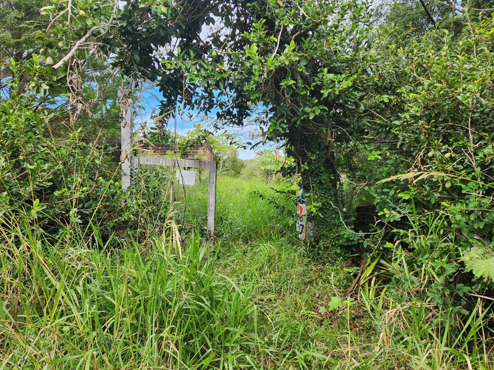 Terreno no bairro Lageado
