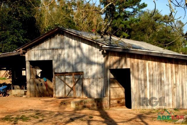 Sítio à venda com 1 quarto, 390000m² - Foto 5