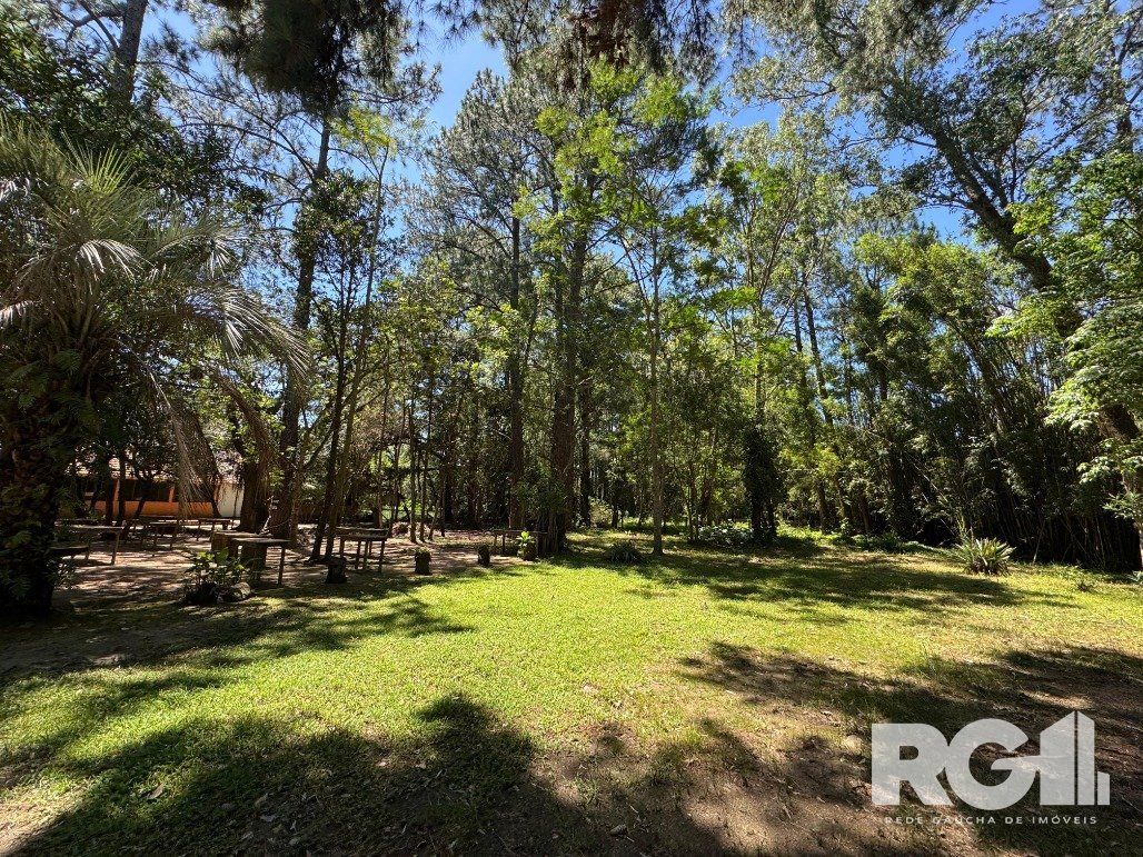 Sítio à venda com 2 quartos, 800m² - Foto 6