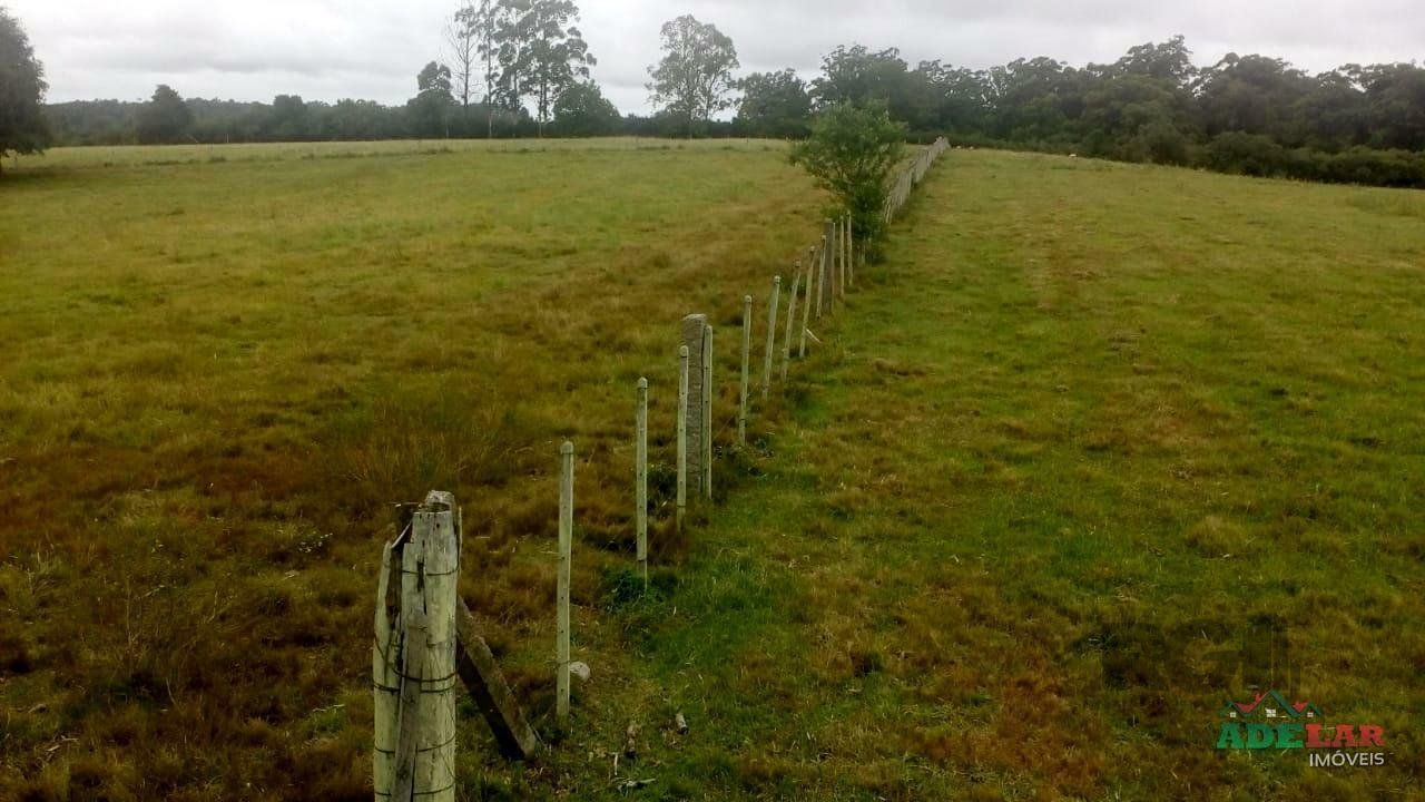 Sítio, 2 quartos, 10 hectares - Foto 33