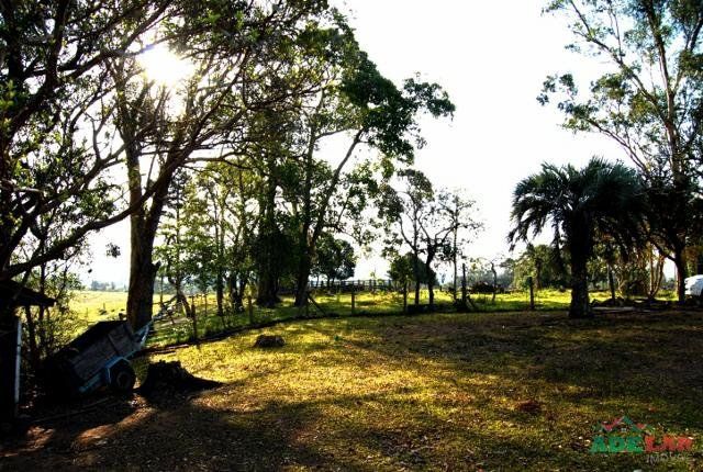 Sítio à venda com 1 quarto, 390000m² - Foto 74