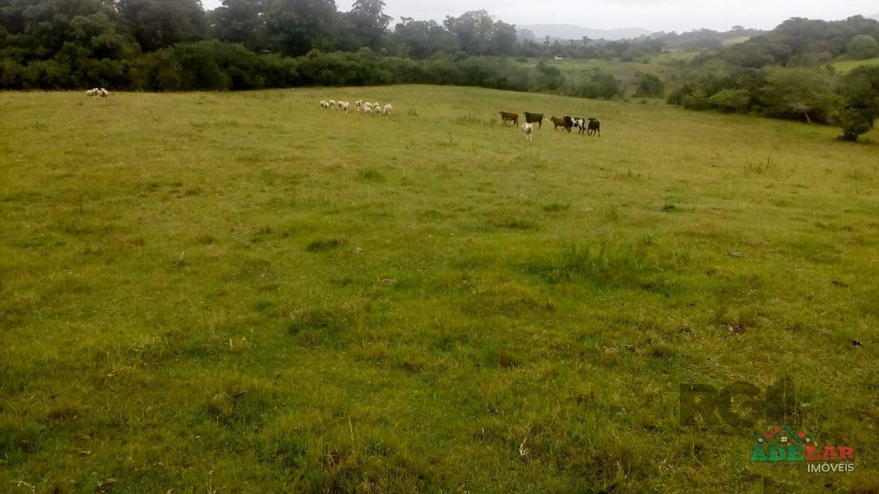 Sítio, 2 quartos, 10 hectares - Foto 43