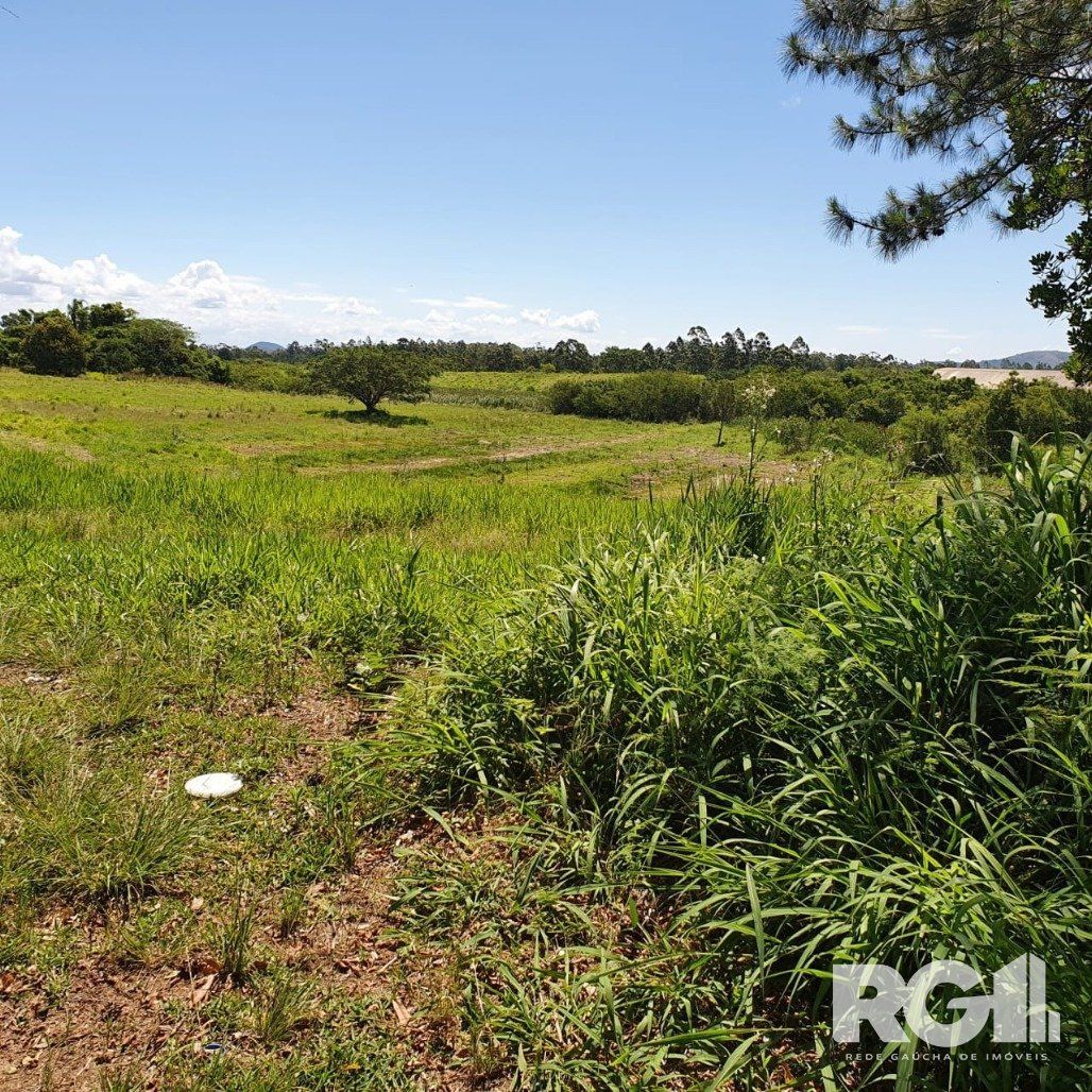 Terreno, 1000 m² - Foto 4