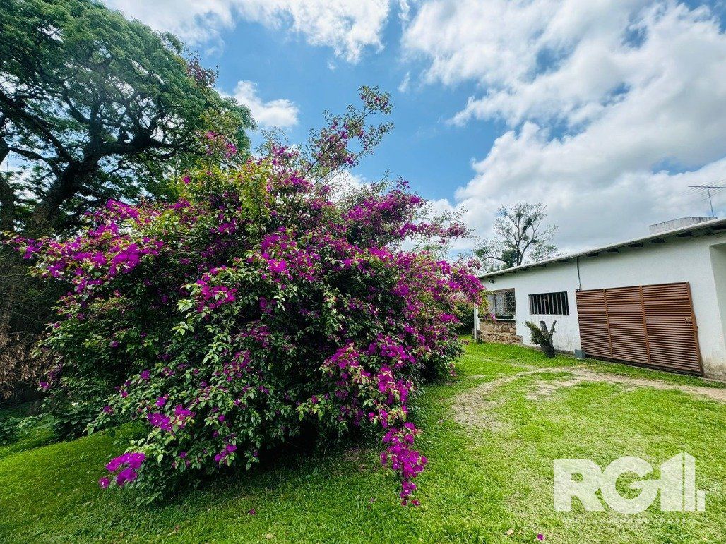 Sítio, 3 quartos, 10000 m² - Foto 5