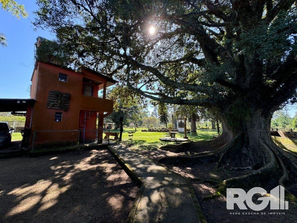Sítio à venda com 2 quartos, 388m² - Foto 4