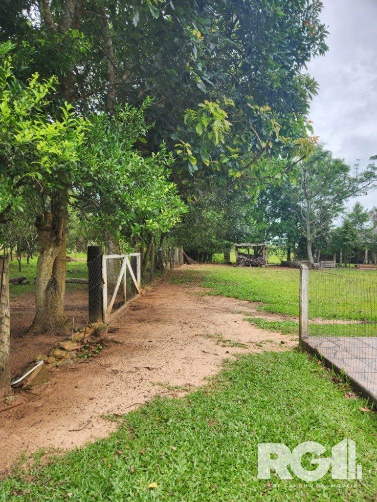 Sítio à venda com 3 quartos, 70m² - Foto 11