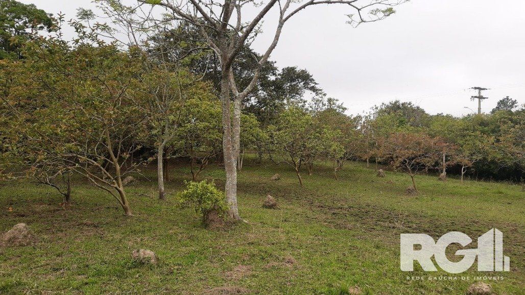 Sítio à venda com 2 quartos, 6611m² - Foto 25