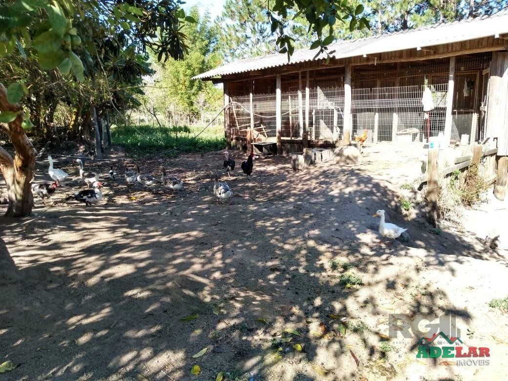 Sítio à venda com 4 quartos, 76737m² - Foto 12
