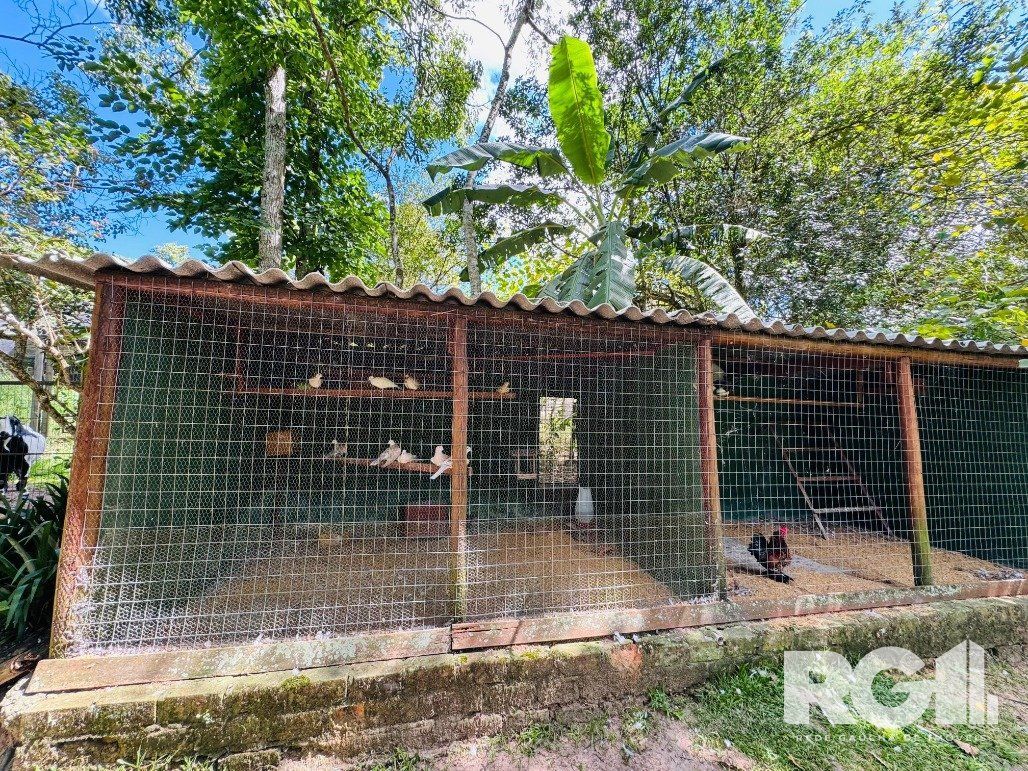 Sítio à venda com 3 quartos, 111m² - Foto 13