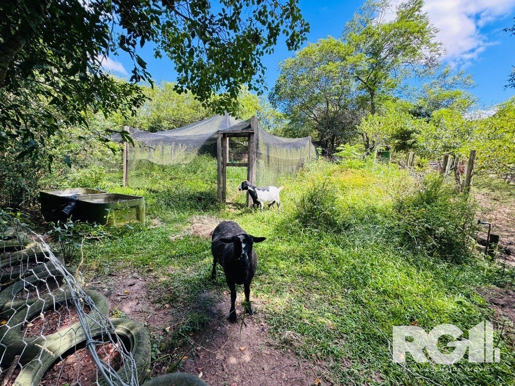 Sítio à venda com 3 quartos, 111m² - Foto 16
