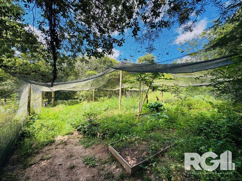 Sítio à venda com 3 quartos, 111m² - Foto 17
