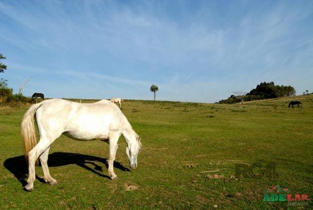 Sítio à venda com 1 quarto, 390000m² - Foto 48