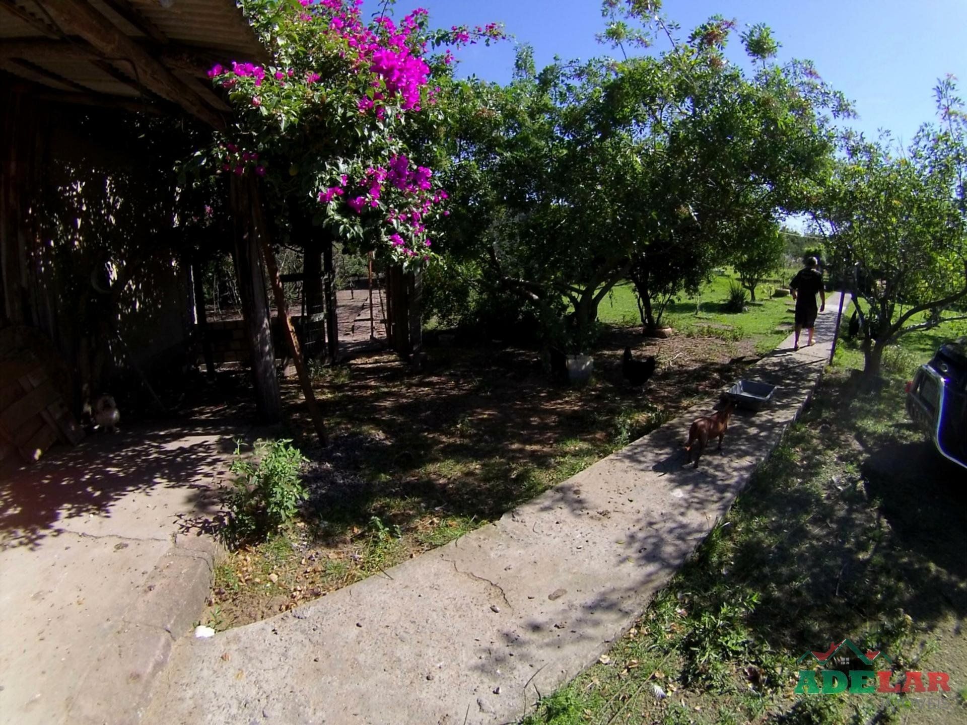 Chácara, 2 quartos, 2 hectares - Foto 47