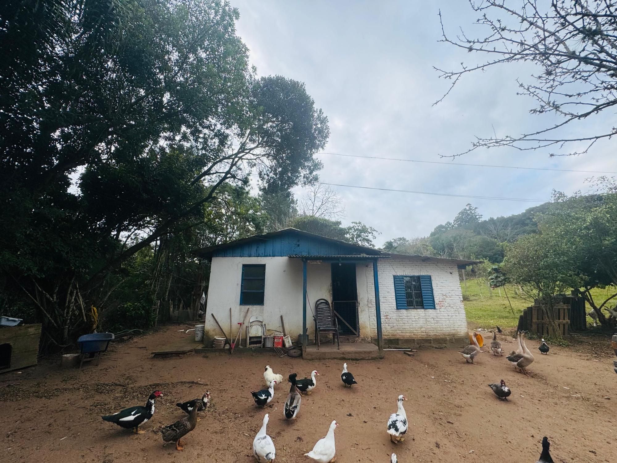 Chácara à venda com 2 quartos, 1m² - Foto 2