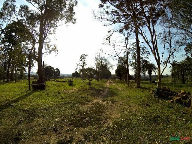 Sítio à venda com 1 quarto, 390000m² - Foto 62