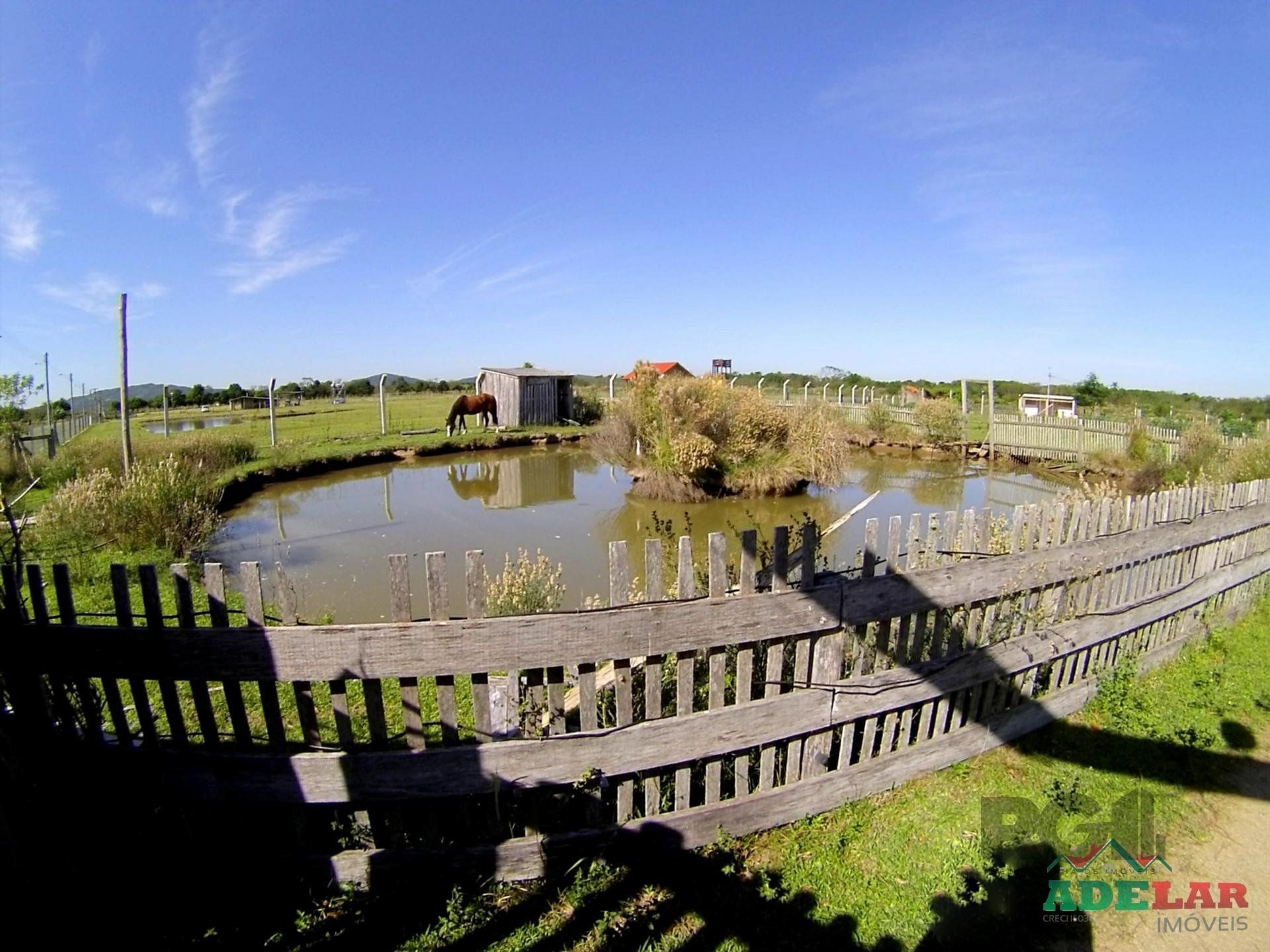 Chácara, 2 quartos, 2 hectares - Foto 38
