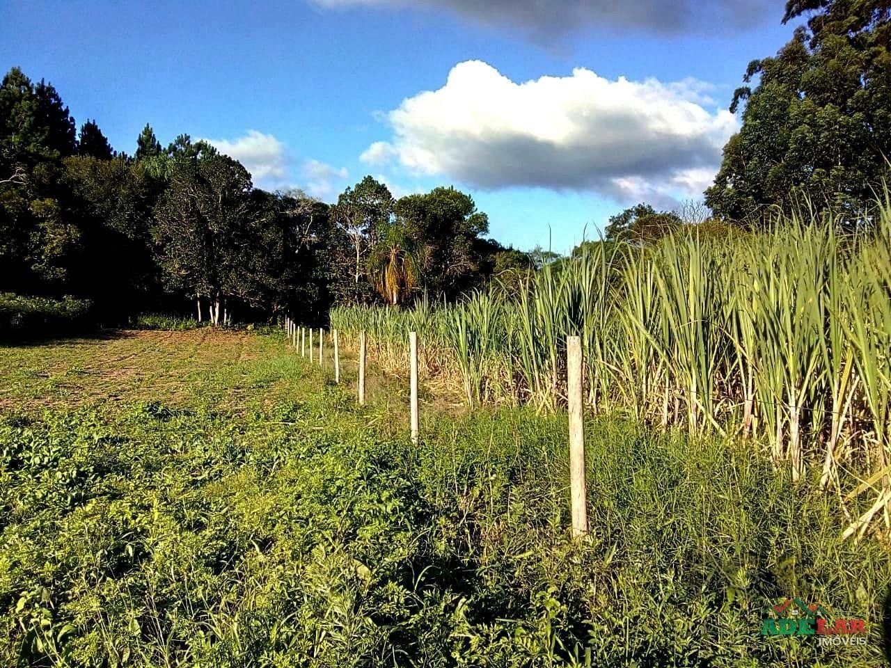 Sítio à venda com 2 quartos, 30000m² - Foto 102