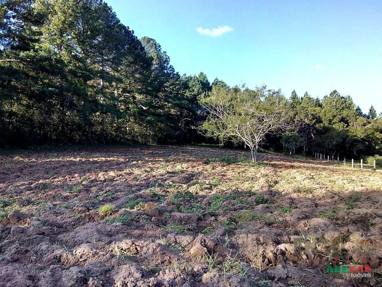 Sítio à venda com 2 quartos, 30000m² - Foto 98