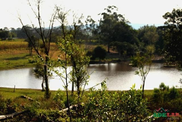 Sítio à venda com 1 quarto, 390000m² - Foto 19