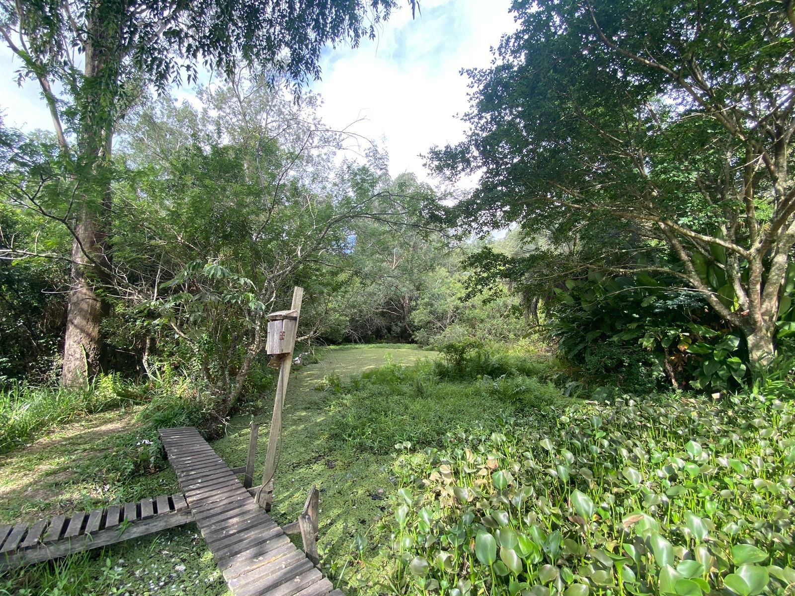Sítio à venda com 1 quarto, 114m² - Foto 44