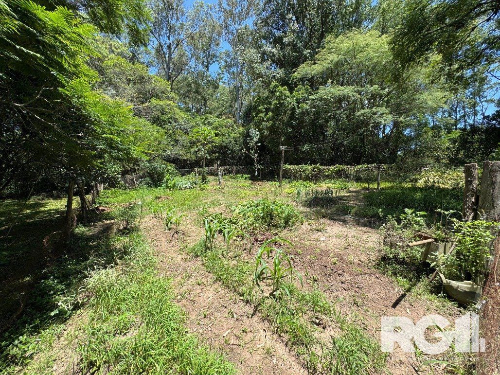 Sítio à venda com 4 quartos, 120m² - Foto 29