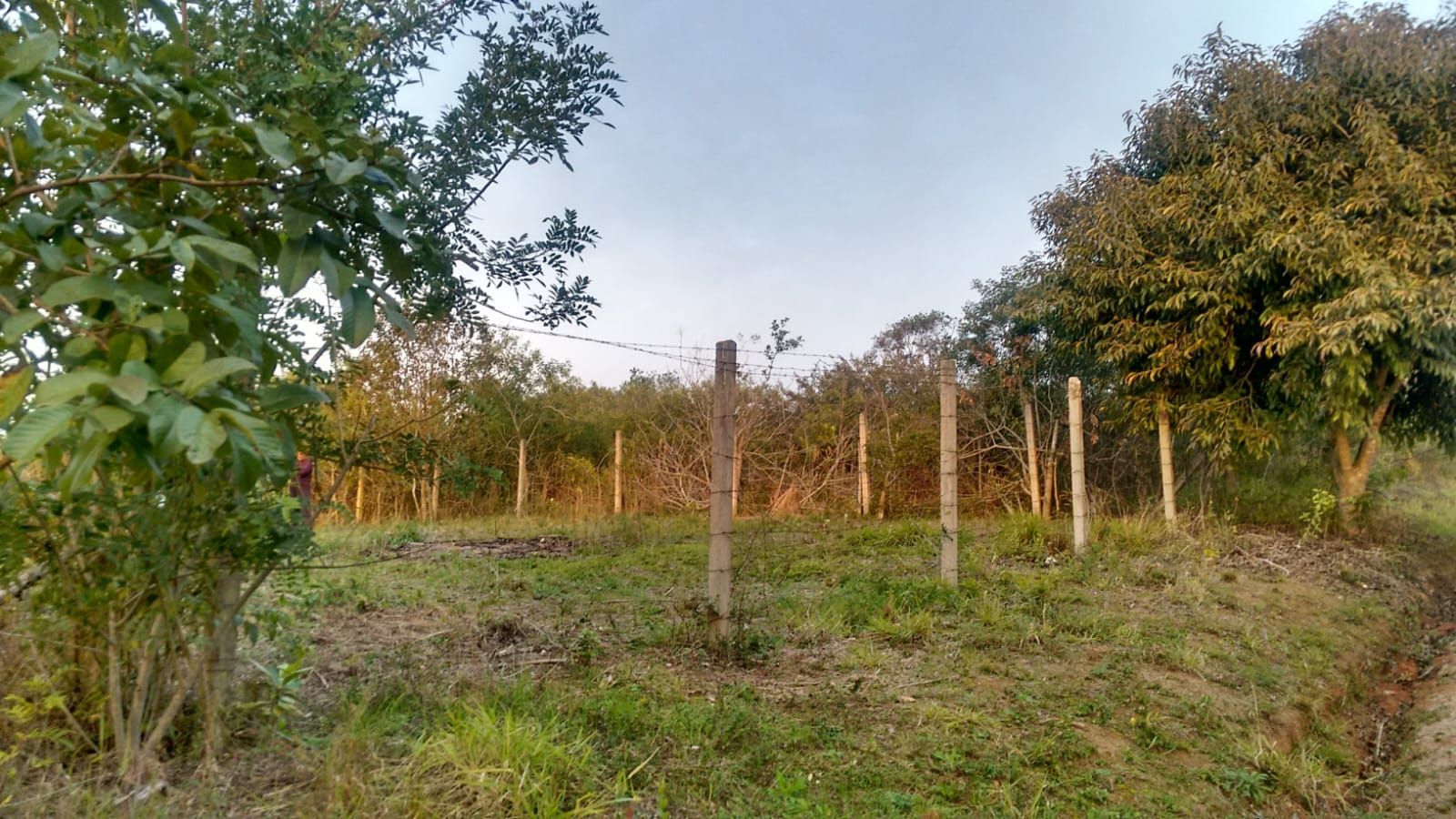 Terreno no bairro Lageado