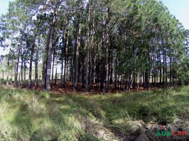 Terreno à venda, 3060m² - Foto 3