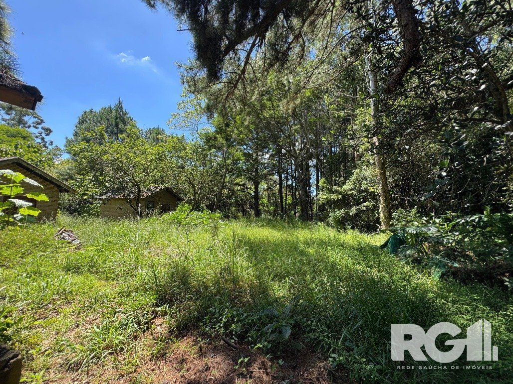 Sítio à venda com 2 quartos, 800m² - Foto 15