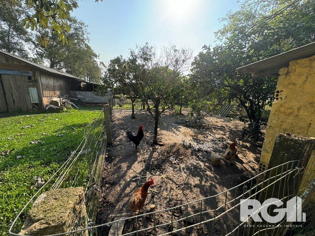 Sítio à venda com 2 quartos, 168m² - Foto 14