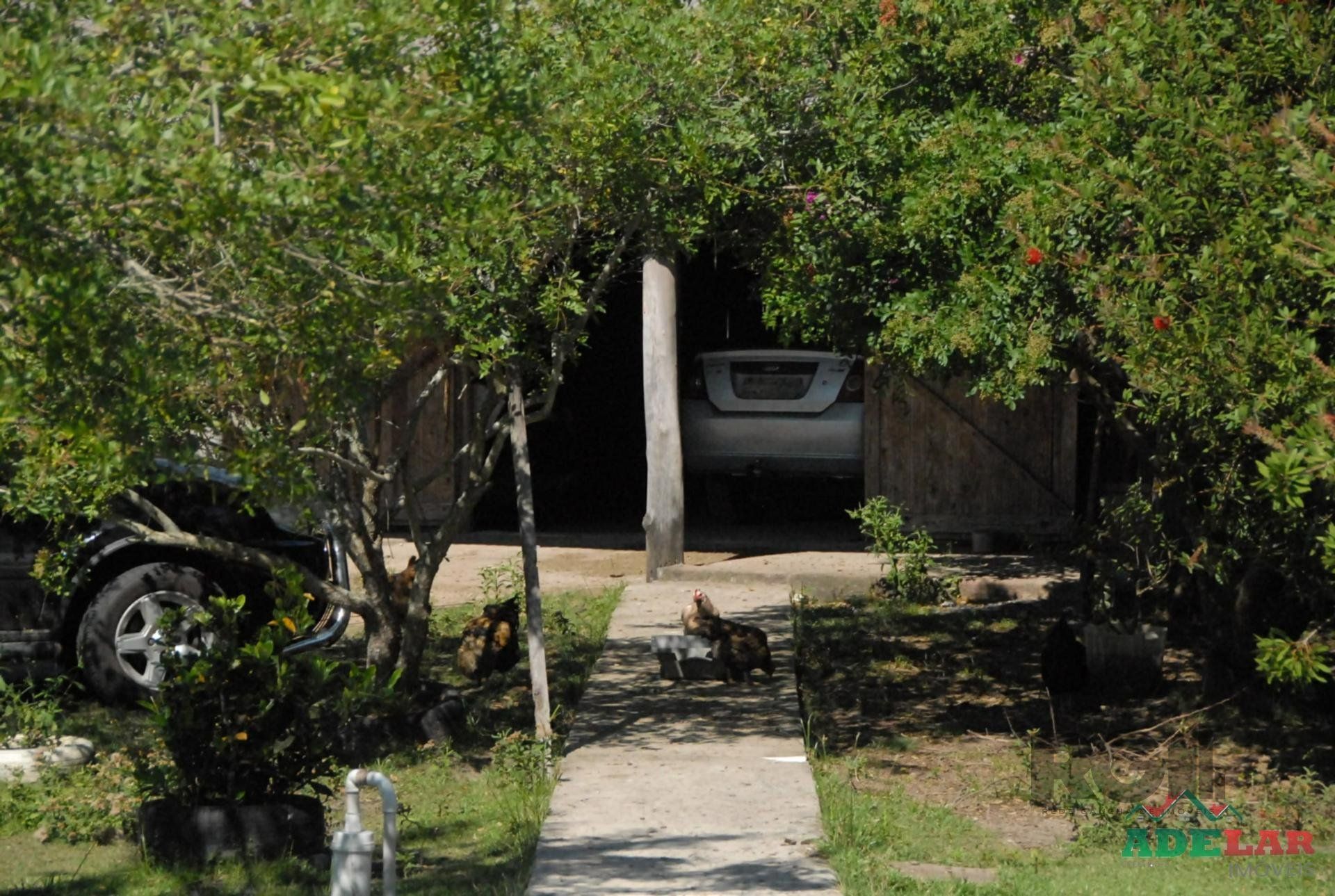 Chácara, 2 quartos, 2 hectares - Foto 34