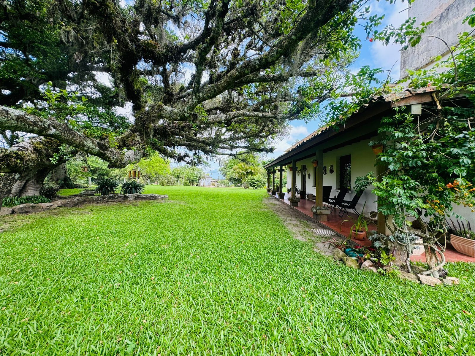 Sítio, 3 quartos, 10000 m² - Foto 1